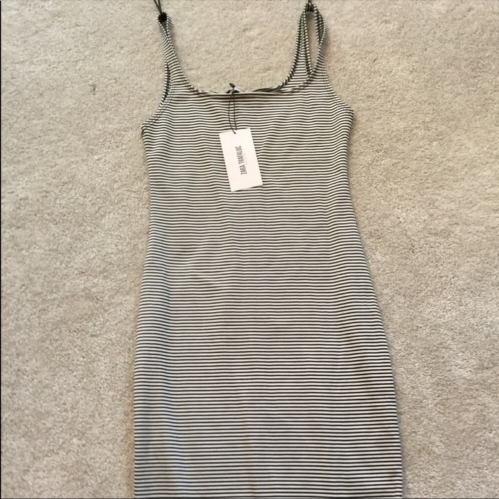 Zara Medium Bodycon Dress